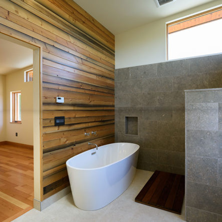 woodrow granite shower and modern bathtub