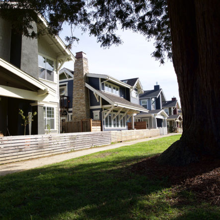 frederick street multi family homes